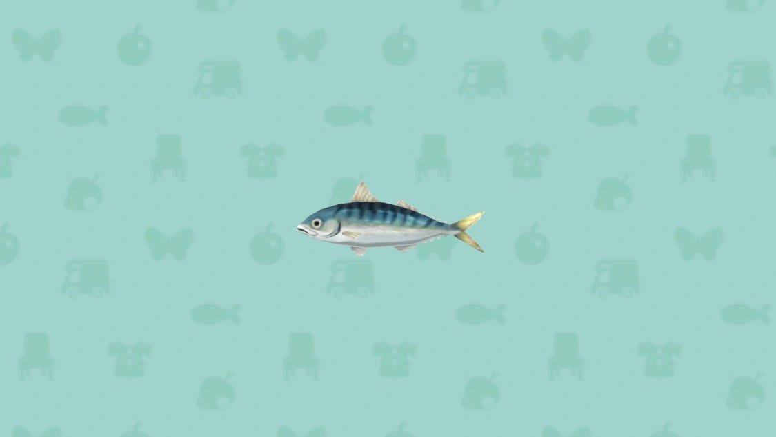 Atlantic mackerel Animal Crossing Wiki Fandom
