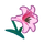 NH-pink lilies-icon.png
