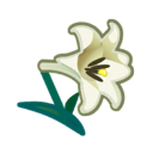 flower animal crossing wiki fandom flower animal crossing wiki fandom