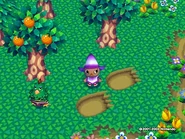 Footprints: 19,000 bells.