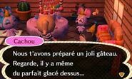 Belle à l'anniversaire du joueur