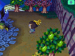 animal crossing new leaf gold shovel animal crossing new leaf gold shovel
