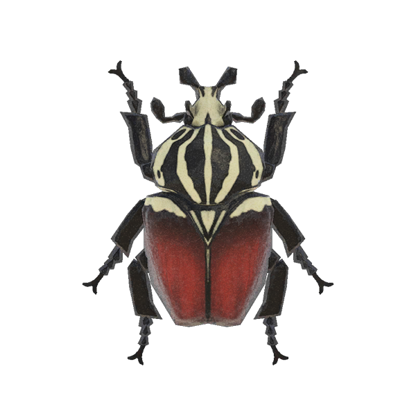 Goliath Beetle Animal Crossing Wiki Fandom