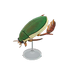 NH-Furniture-Diving beetle model.png