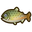 NH-Icon-stringfish.png