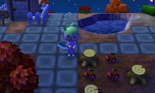 Tocón especial en Animal Crossing: New Leaf.