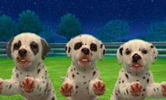 Trois dalmatiens dans Nintendogs