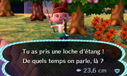 La pêche de la loche d'étang dans New Leaf
