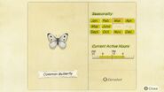 Common Butterfly entry in Critterpedia.