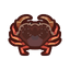 NH-Icon-dungenesscrab.png