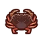 NH-Icon-dungenesscrab