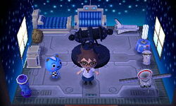 Filbert | Animal Crossing Wiki | Fandom Filbert | Animal Crossing Wiki | Fandom
