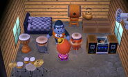 La maison de Gogo dans Animal Crossing: New Leaf