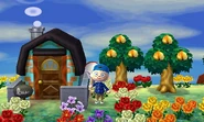 La maison de Gonzo vue de l'extérieur dans New leaf