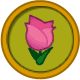 pink tulip icon