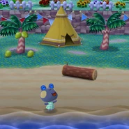 Bajoue près de sa tente dans Pocket Camp