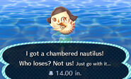 Catching a chambered nautilus in New Leaf