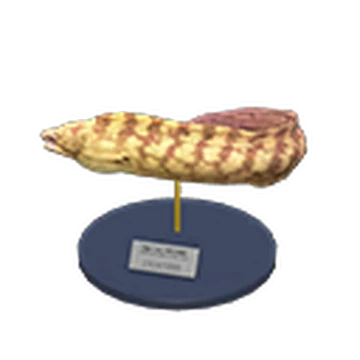 Moray Eel Model Animal Crossing Wiki Fandom