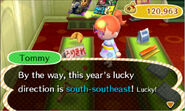 Upon buying a good-luck roll, Timmy or Tommy will tell the player to eat it facing a certain direction for Good Luck.