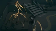 Side profile of the quetzalcoatlus