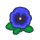 NH-blue pansy icon.png