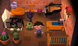 Kiki | Animal Crossing Wiki | Fandom Kiki | Animal Crossing Wiki | Fandom