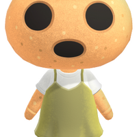 Coco Animal Crossing Wiki Fandom Image discovered by ♡ ⁽⁽◝꒰ ˙ ꒳ ˙ ꒱◜⁾⁾. coco animal crossing wiki fandom