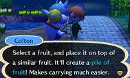 Colton explains about fruit stacking.