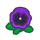 NH-purple pansies-icon.png