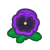 NH-purple pansies-icon.png