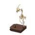 NH-Furniture-rightmegaloside.png