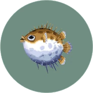 Puffer Fish (City Folk).png (73 kio) Poisson-porc-épic dans Let's Go to the City