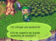 Sauterelle-AC.png (367 kio) Un joueur ayant attrapé une sauterelle dans Animal Crossing