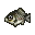 Crucian Carp (New Leaf icon).PNG