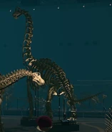 Brachiosaurus in the museum's panoramic view