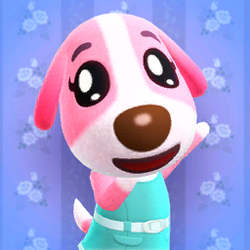 images Cookie Animal Crossing Poster cookie gallery animal crossing wiki