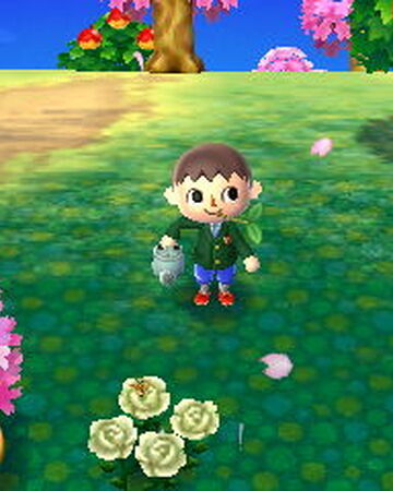 animal crossing wiki fandom
