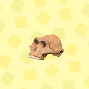 NH-Australopith-catalog-three-quarter.png (62 KB) Australopithecus in the catalog in New Horizons (three-quarter view)