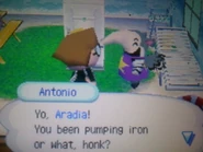 Antonio dans Wild World