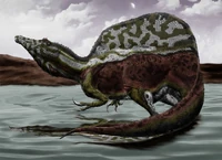 A reconstruction of Spinosaurus