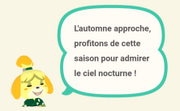 L'automne lunaire citation Marie 1