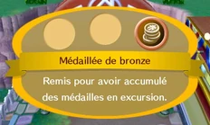 Le badge bronze