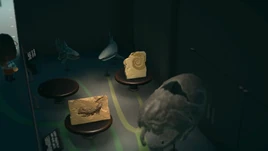 NH-Shark-tooth pattern-museum