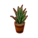 PC-FurnitureIcon-snake plant.png