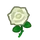 Rose(s) blanche(s)