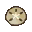 Sand Dollar (New Leaf icon).PNG