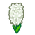 NH-white hyacinth icon.png