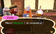 Perle au café dans New Leaf