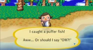 Catching a puffer fish in City Folk