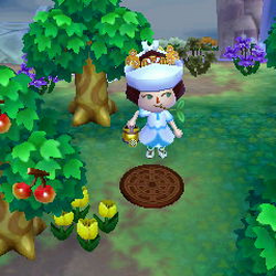 Campsite (New Leaf), Animal Crossing Wiki